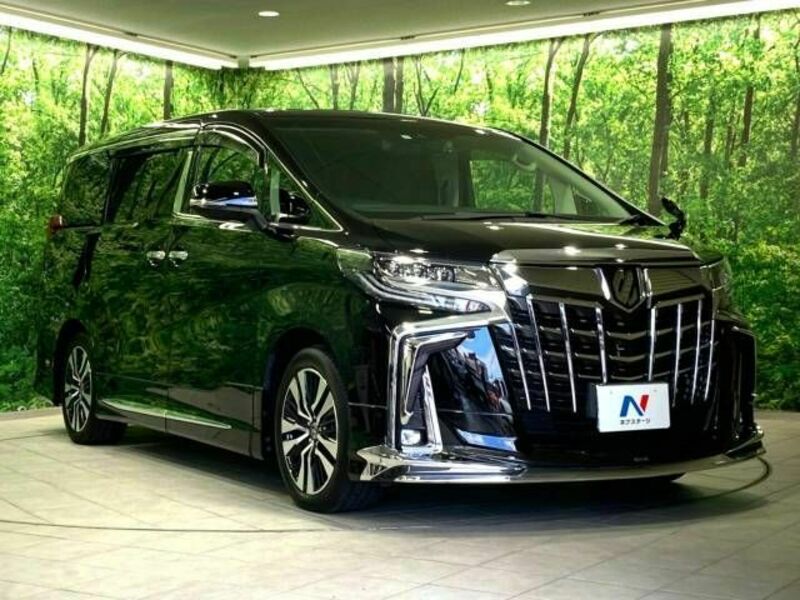 ALPHARD-17