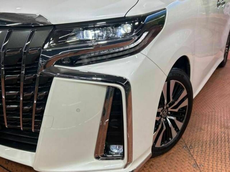 ALPHARD-13