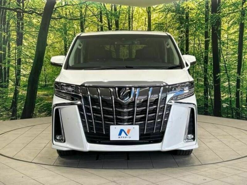 ALPHARD-15