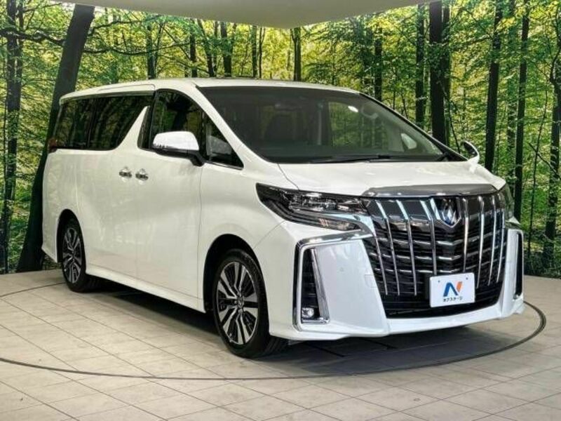 ALPHARD-17