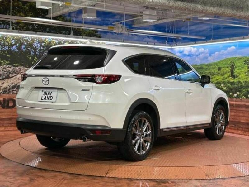 CX-8-18