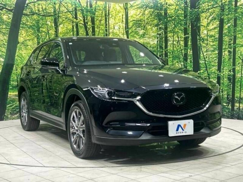 CX-5-16