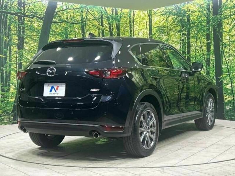 CX-5-17