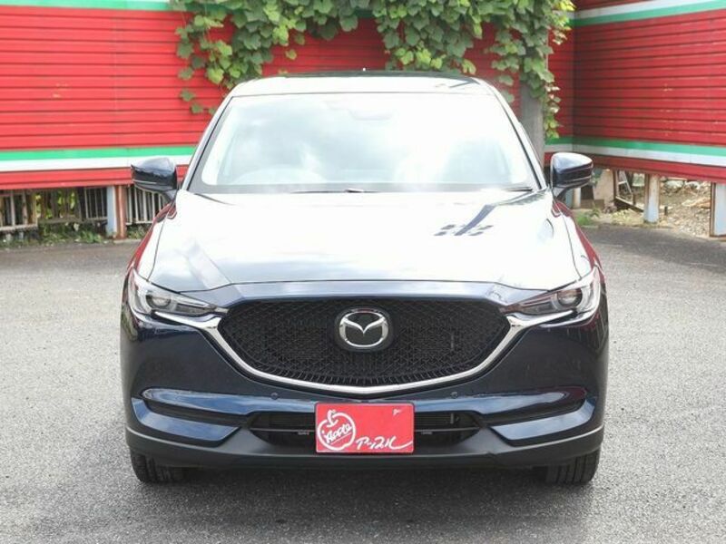 CX-5-22