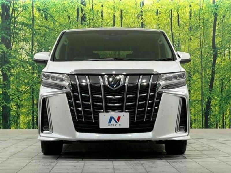 ALPHARD-14