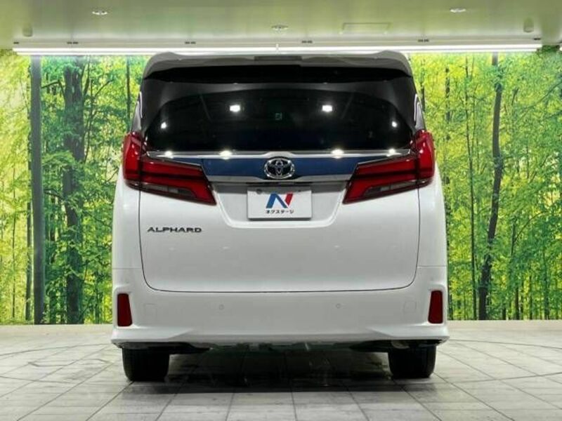 ALPHARD-15