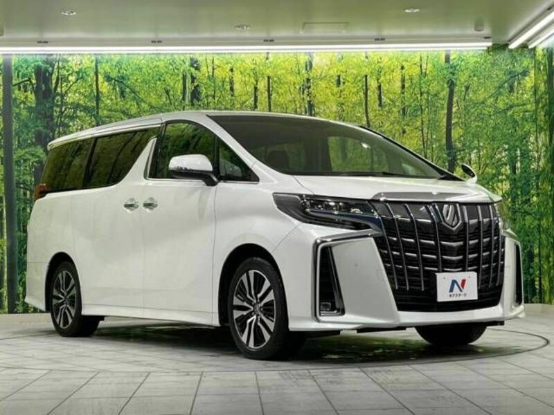 ALPHARD-16