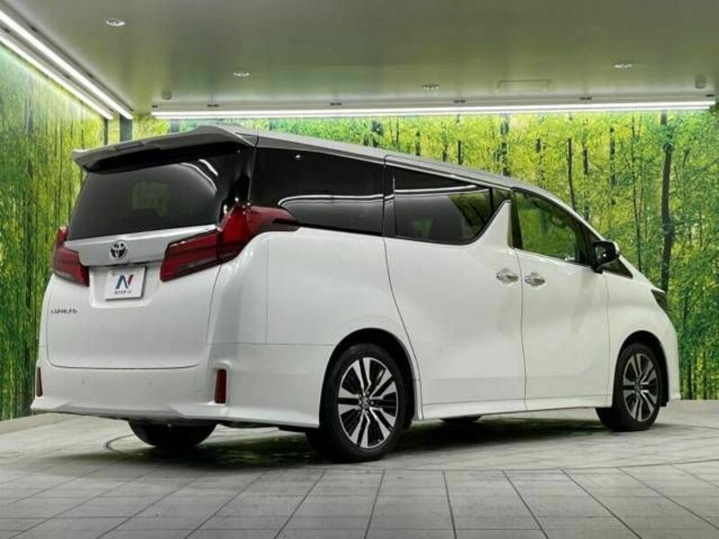 ALPHARD-17