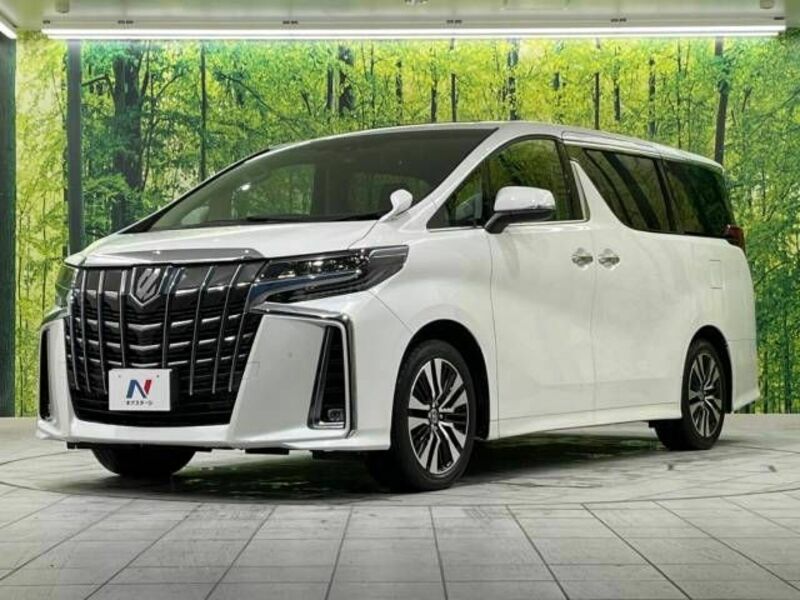 ALPHARD-19