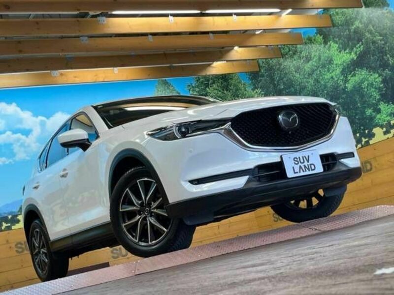 CX-5-16