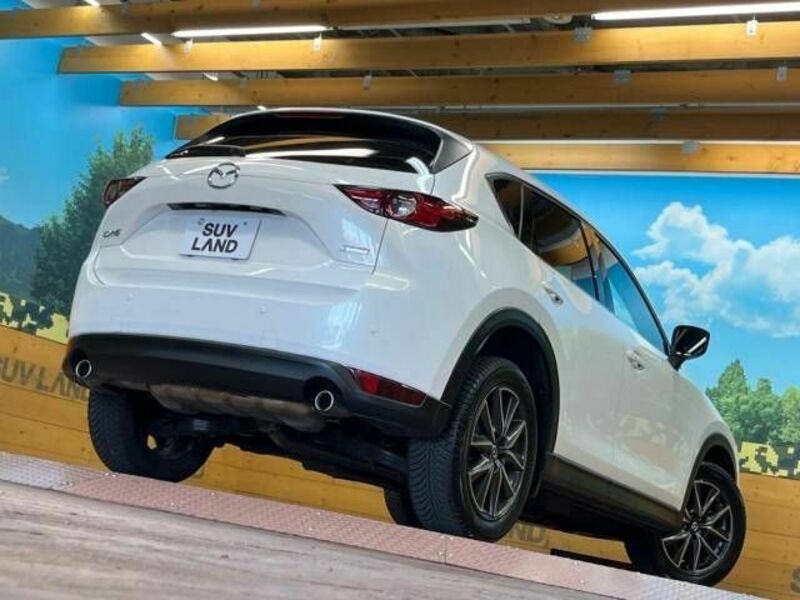 CX-5-17