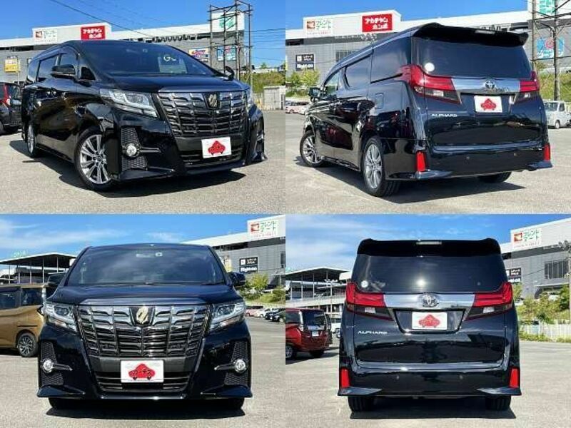 ALPHARD-8