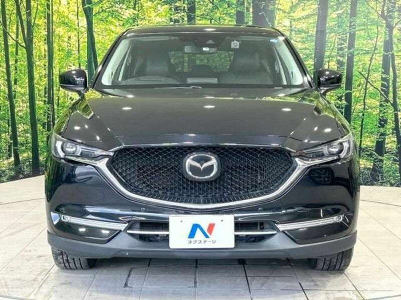 CX-5-14