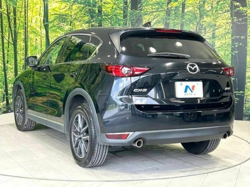 CX-5-17