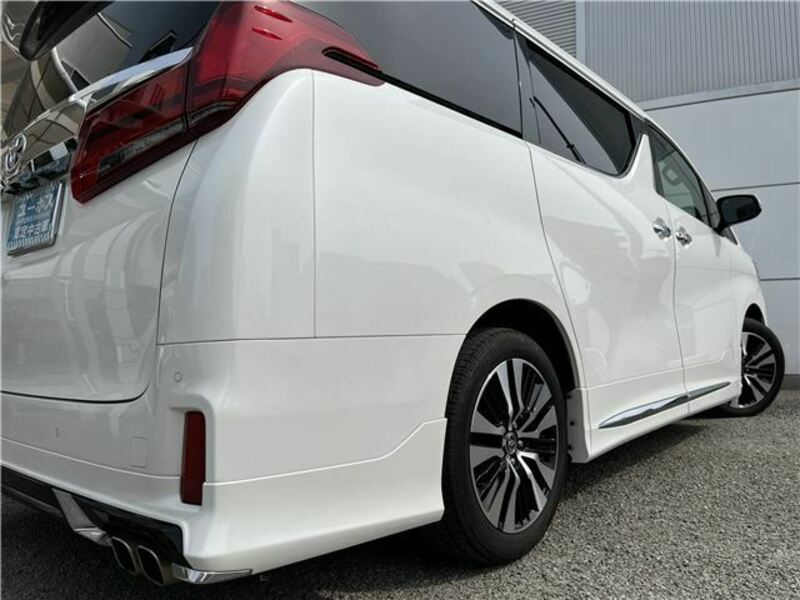 ALPHARD-11