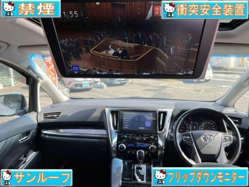 ALPHARD-1