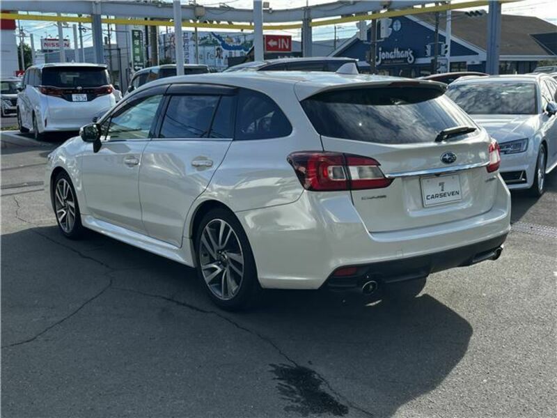 LEVORG-31