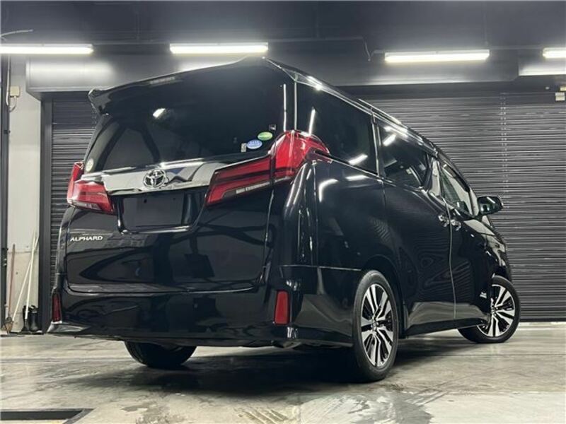 ALPHARD-13