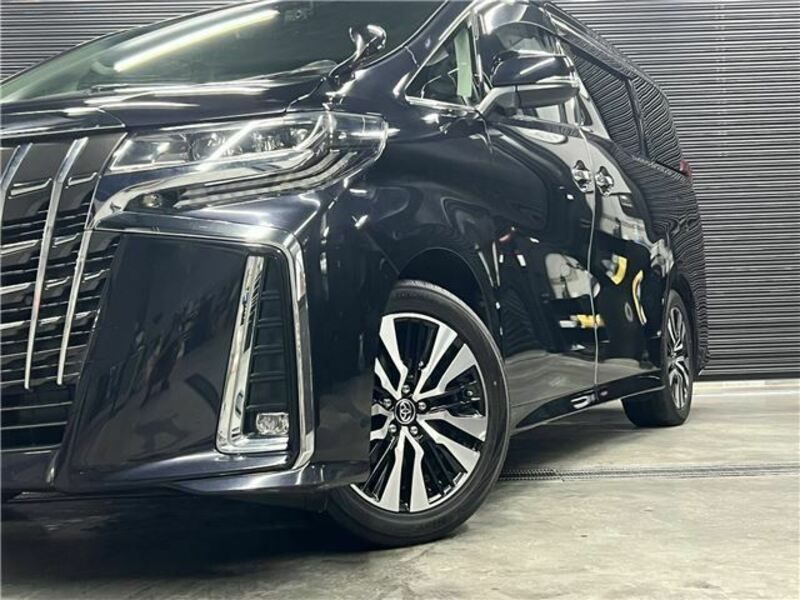 ALPHARD-36