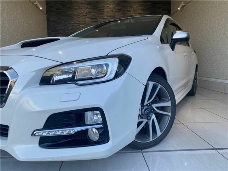 LEVORG-1