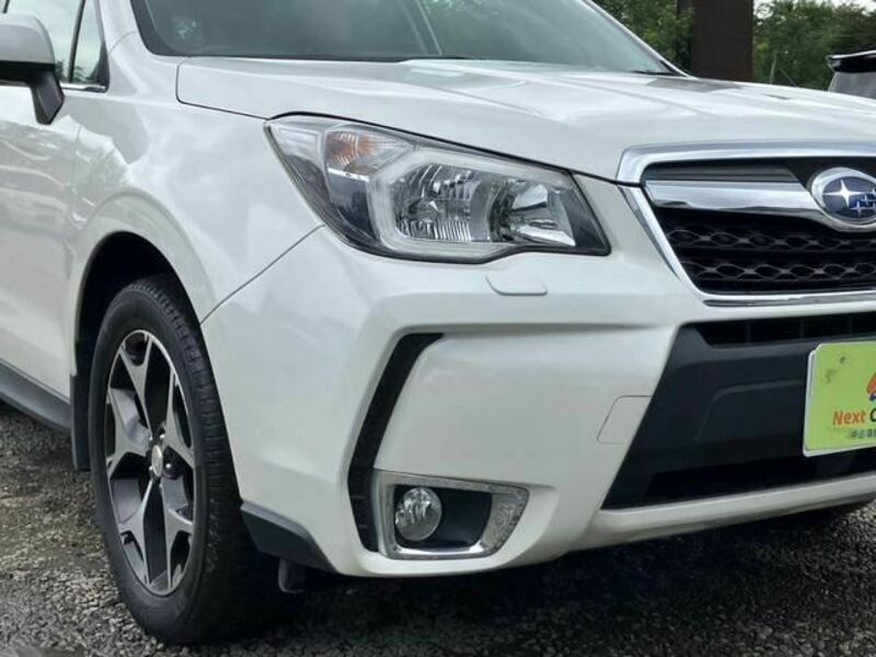 FORESTER-3