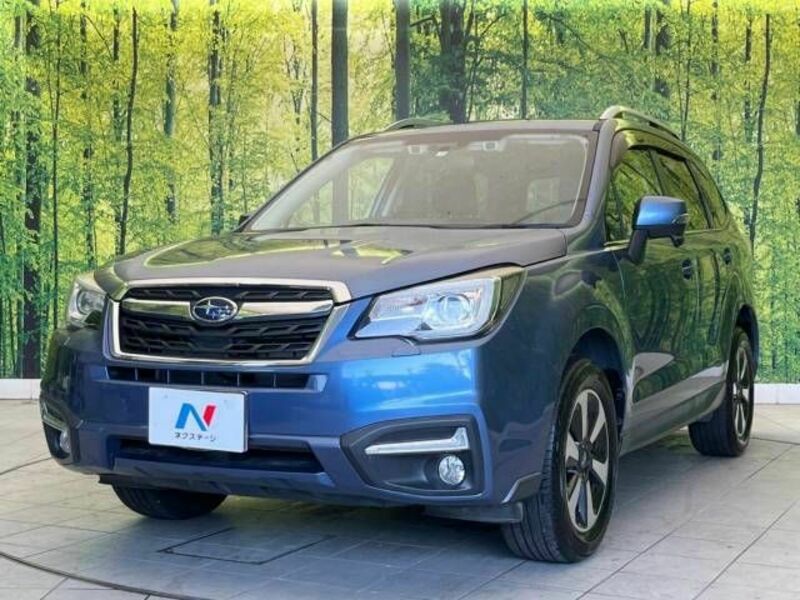 FORESTER-16