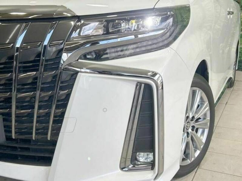 ALPHARD-13