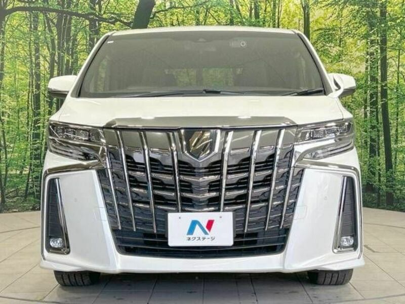 ALPHARD-15