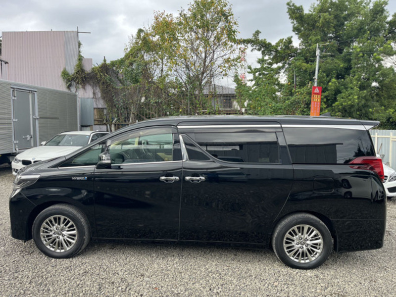 ALPHARD-3