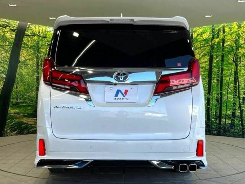 ALPHARD-14