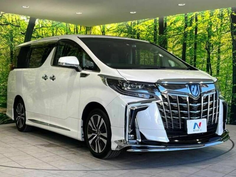 ALPHARD-15