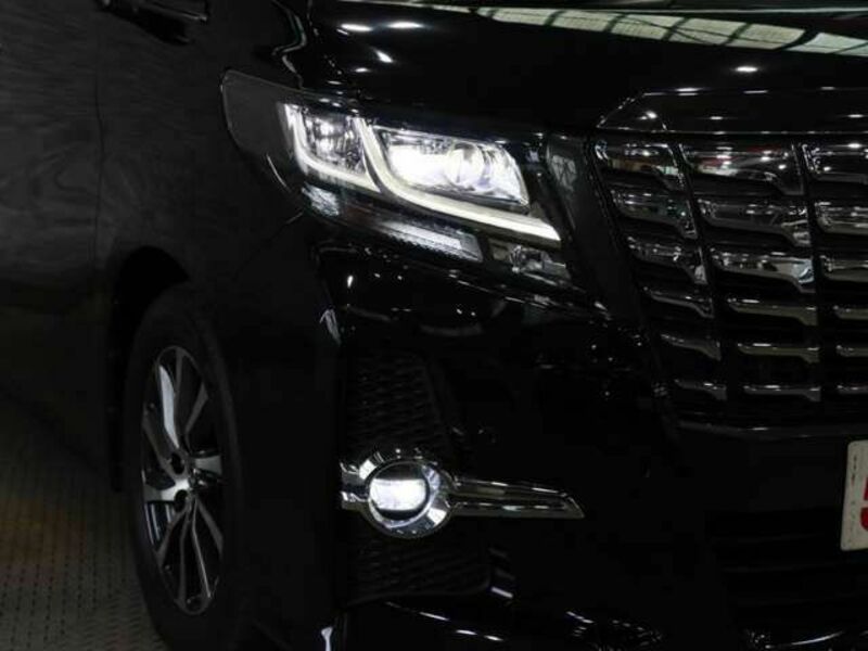 ALPHARD-14