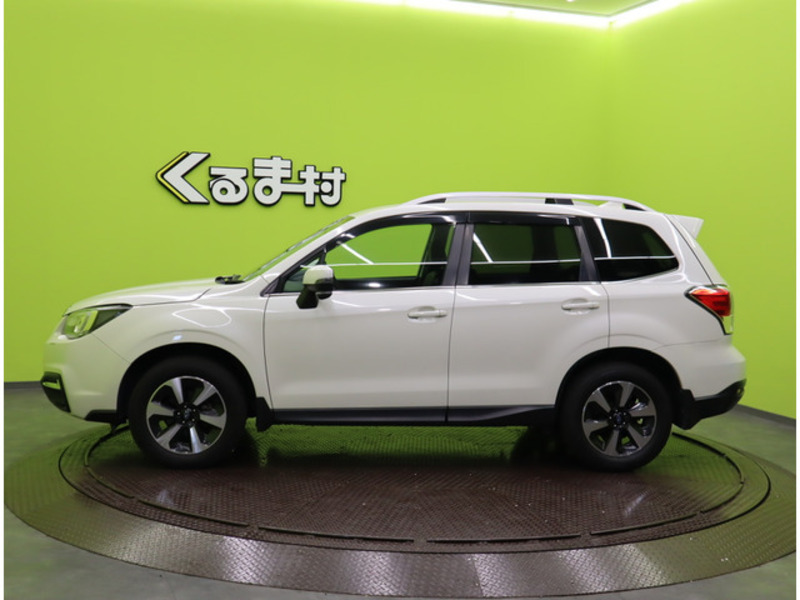 FORESTER-1