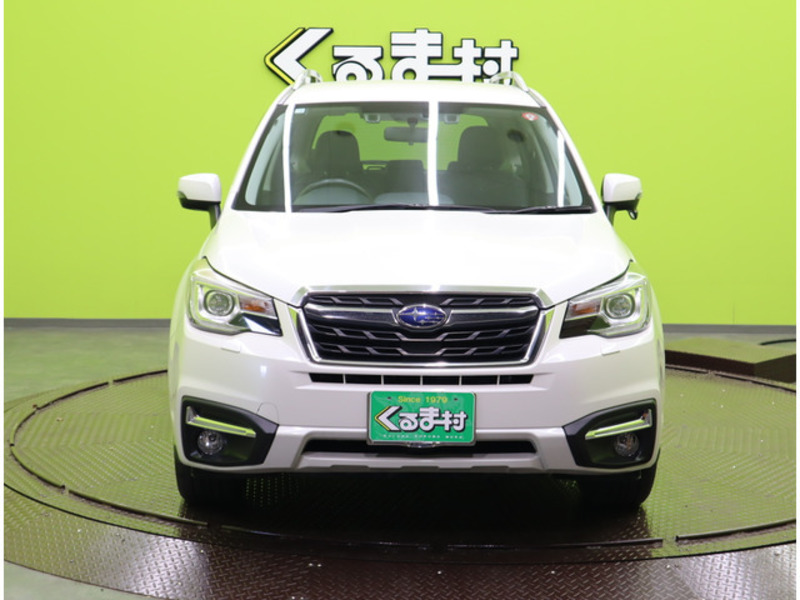 FORESTER-3