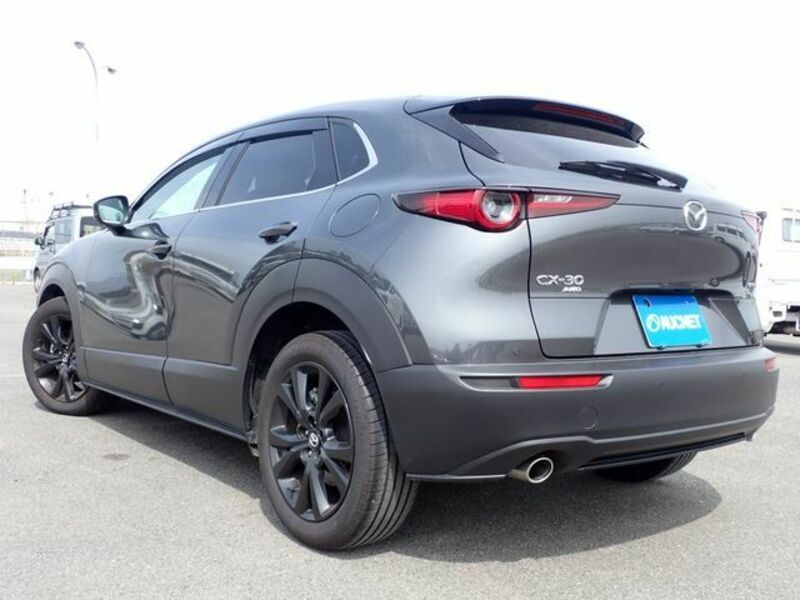 CX-30-2