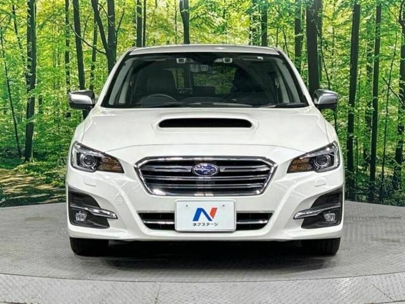 LEVORG-14