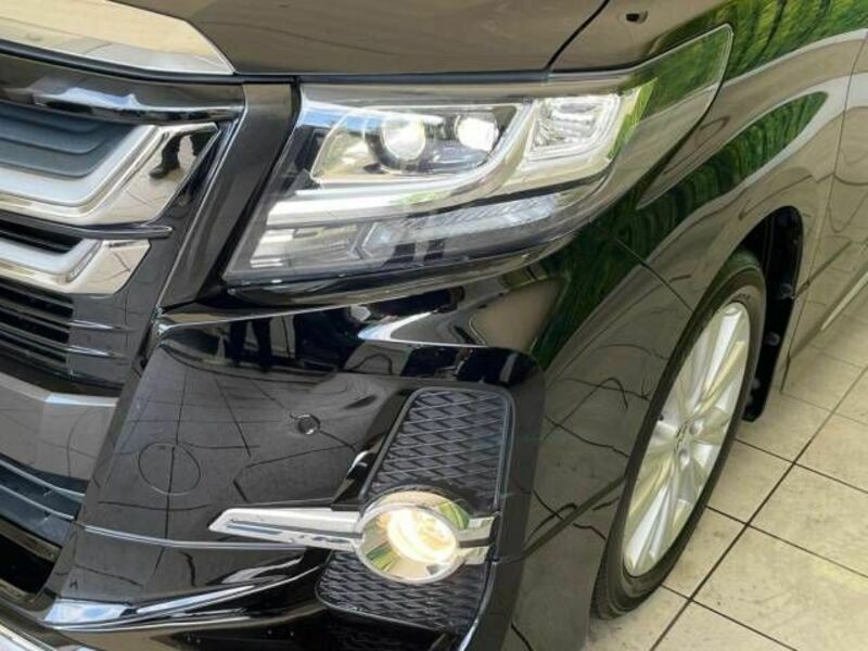 ALPHARD-12