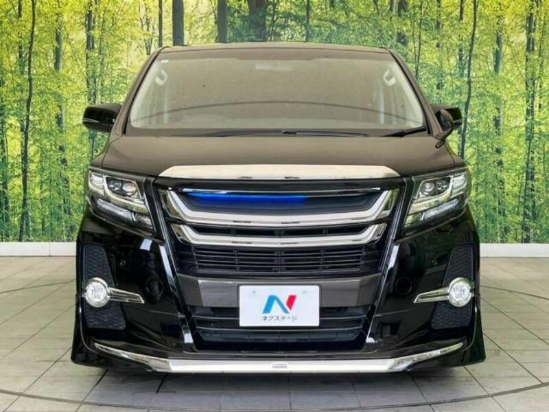 ALPHARD-14