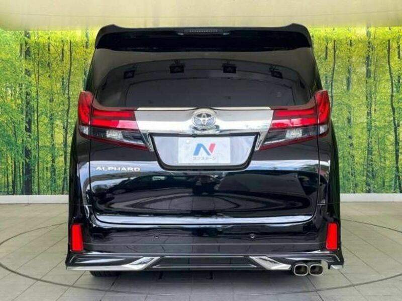 ALPHARD-15