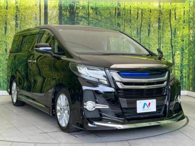 ALPHARD-16