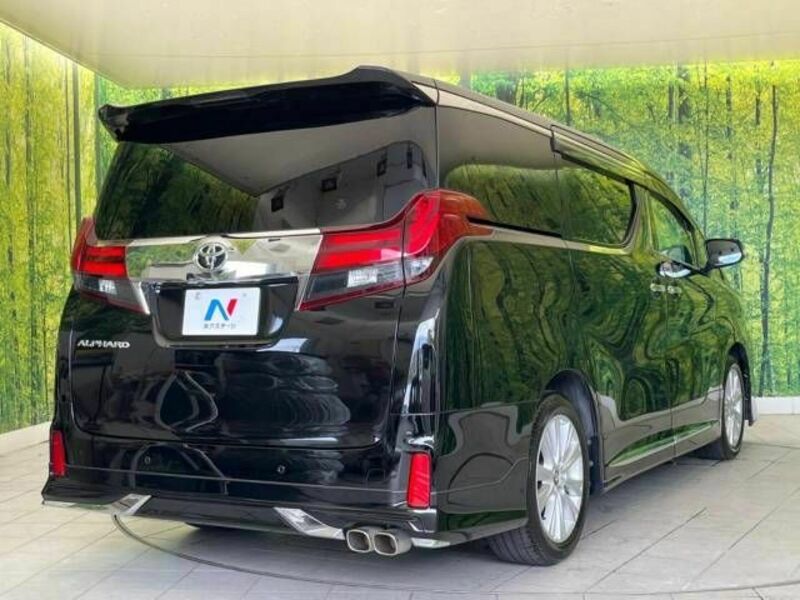 ALPHARD-17