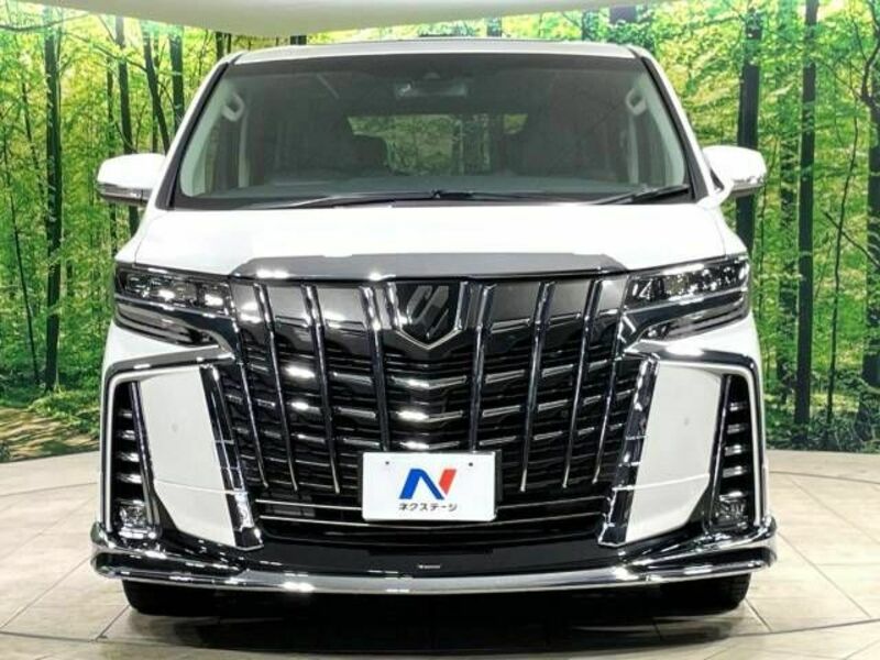 ALPHARD-15