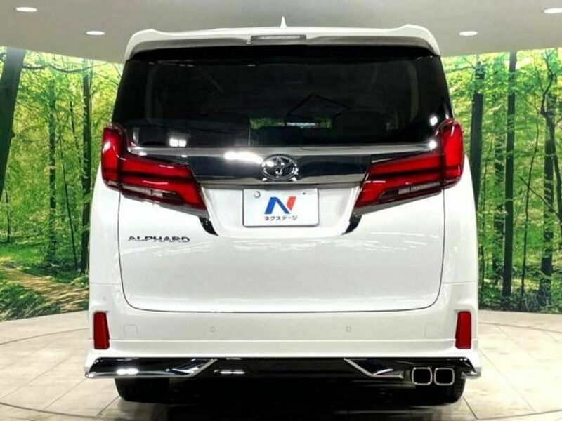 ALPHARD-16