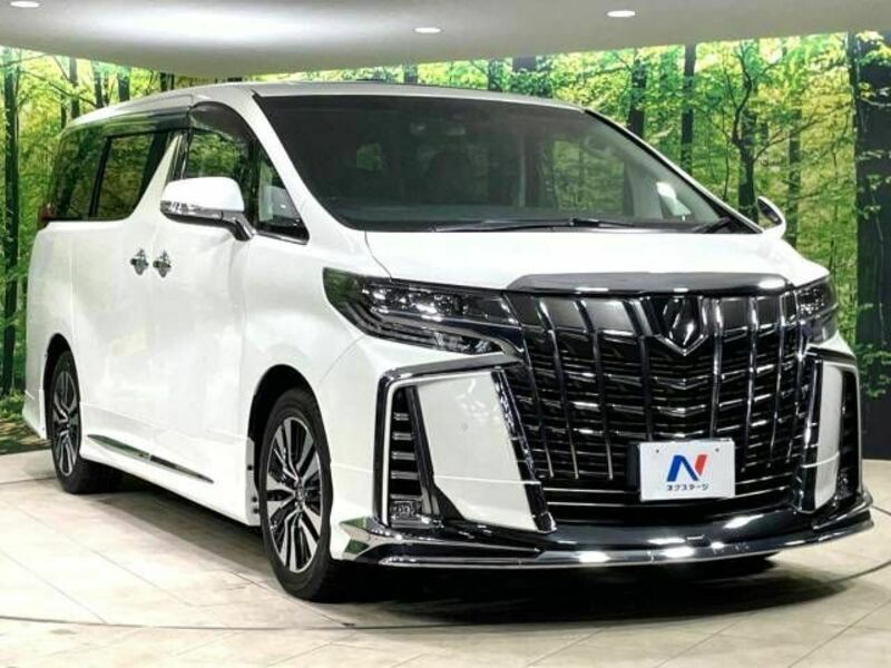 ALPHARD-17