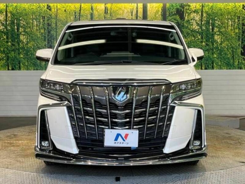 ALPHARD-14