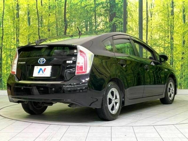 PRIUS-17