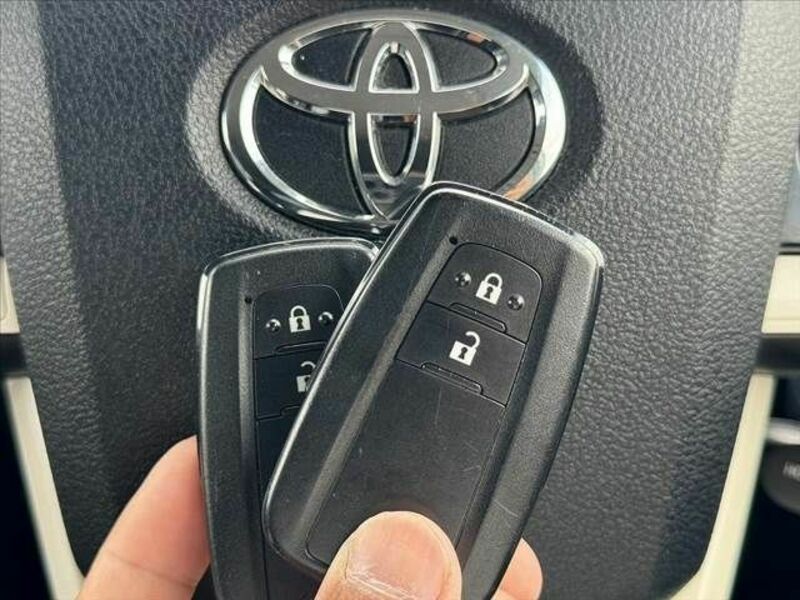 PRIUS-21