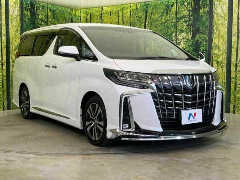 ALPHARD-16