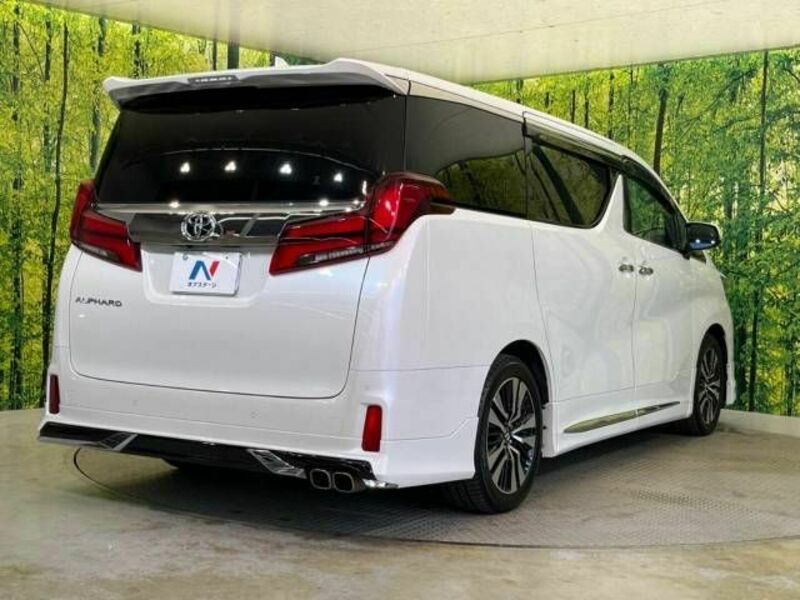 ALPHARD-17