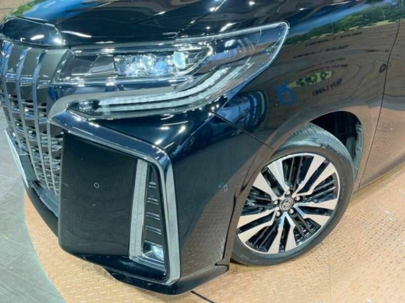 ALPHARD-12